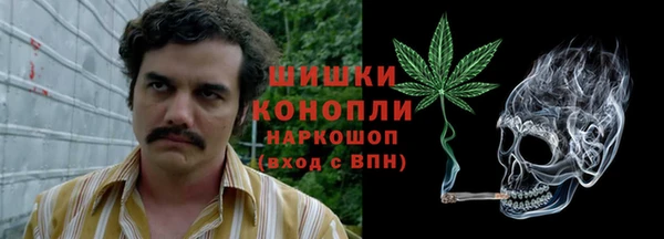 PSILOCYBIN Алексин